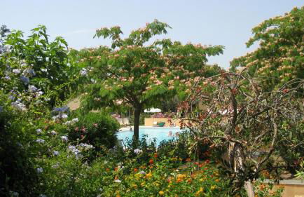 Residence Les Sellettes - Foto 7