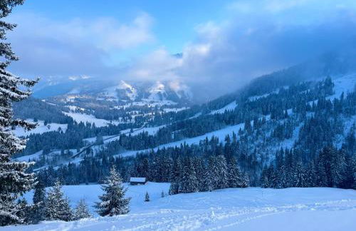 FeWo Alpenherz im Allgäu, mit Balkon und Bergblick - Foto 7
