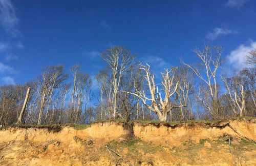 The Old Stable at Manor House, Middleton - Foto 35