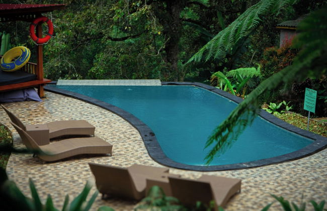 Bali Jungle Camping - Foto 26