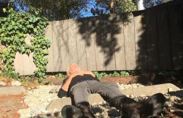 Star Dome Satellite - Photo 15