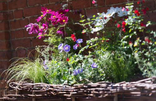 Wren Cottage, a very cosy historic Coastal Cottage in a pretty little village - Foto 13