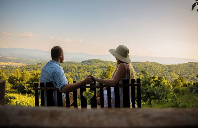 Vineyard cottage Škatlar 2 - Foto 21