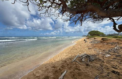 Private Beachfront Ocean View with Resort Amenities! - Foto 33