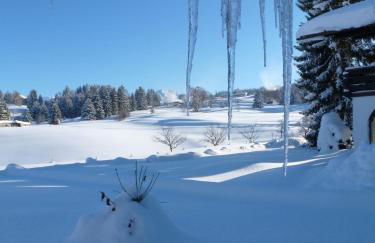 Baldauf's Alpchalet - Photo 14