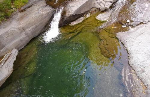 Plant House - Foto 25