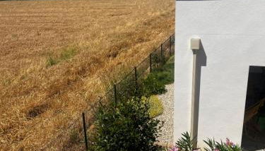 Résidence Petra Paolina - Foto 4, Garden view