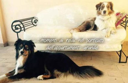 Casale Sant'Egidio - Lago di Bolsena - Foto 27