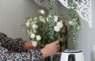 Barfield Shepherds Hut - Foto 26