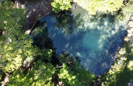 Waterfront St Johns River near springs with boat dock and water sports - Foto 65