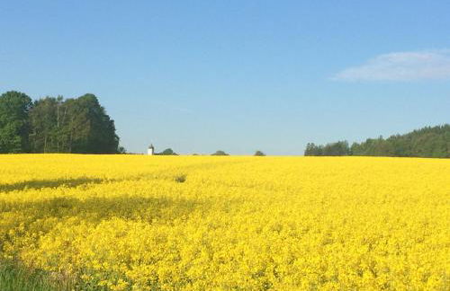 Ferienwohnung Gürth - Foto 38