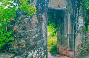 Le Cocon Palmier - Foto 17