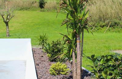 Dreamscape Villa - Photo 15