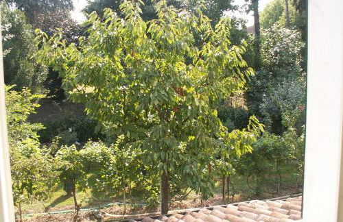 Molino Antico B&B - Foto 35