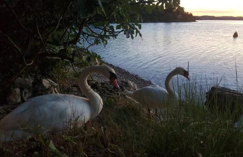 Holiday Home Paradise Beach - Foto 42