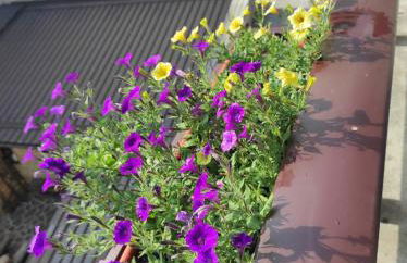 Casa vacanze jsabel - Foto 29