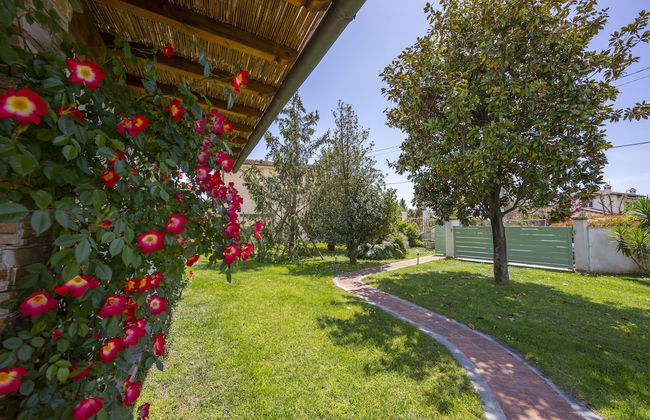 Villa Clara few km from the sea - Foto 45