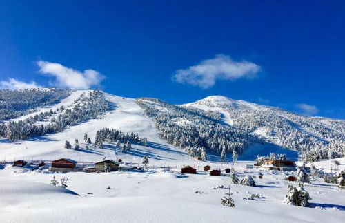 La Vicomtesse de Seillans - Foto 27