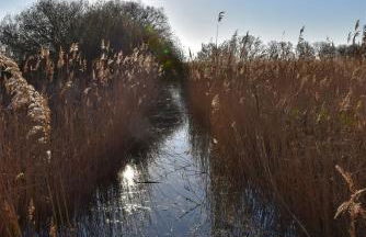 Ferienwohnung Möwe - b63660 - Foto 21
