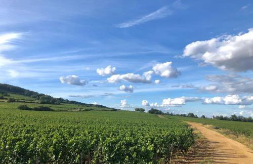 Maison avec cour L'atelier - Foto 13