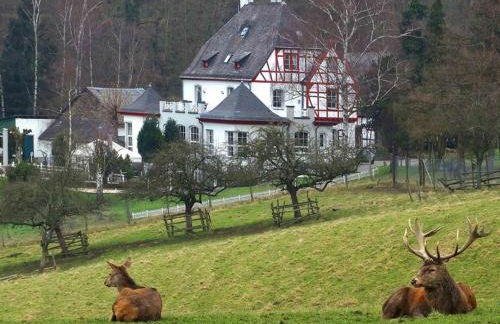 Ferienwohnung in Lahnstein am Rhein - Foto 2