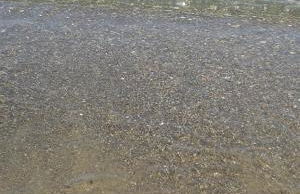 Arte Mare e Cultura - Foto 21