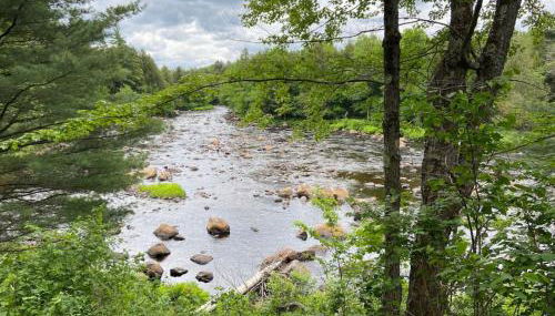 Secluded River Overlook Cabin on 160 acres. - Foto 5