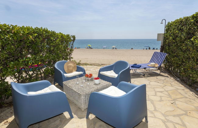 Miami Palace - Foto 2