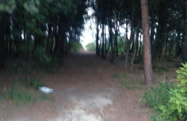 Marina di VASTO - Foto 9