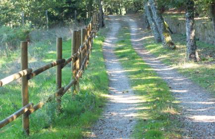 Quinta do Caritel - Foto 20