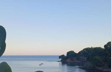 La passolara - Foto 26