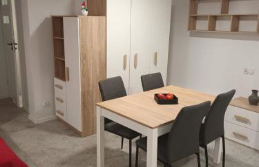 Kawalerka Perzycka - Foto 4