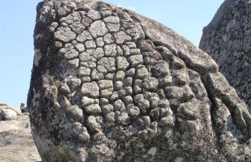 A Avozinha - Arouca - Foto 50