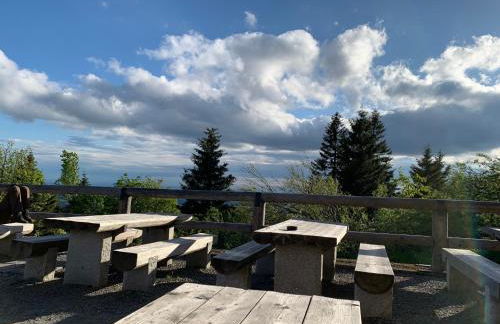 Bayerwaldnest - Foto 39