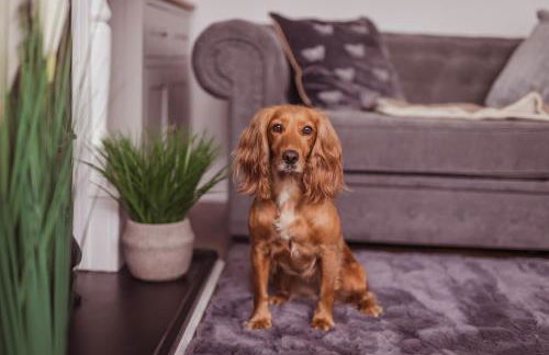 Cottage, Hot Tub, Open fire, Games Room, large Garden Sleeps 2-8 - Foto 59