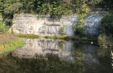 The Lodge - Photo 36