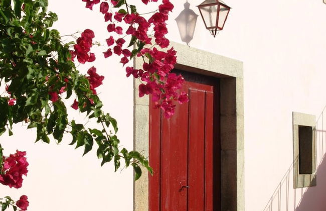 Quinta da Picaria - Foto 38