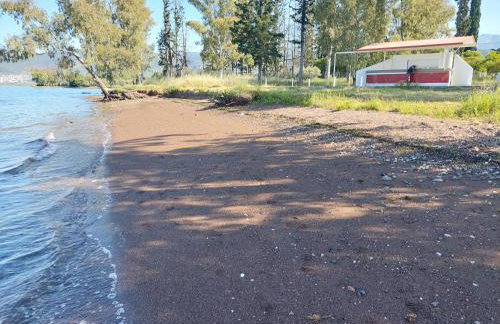 Villa Laguna -house by the beach - Foto 69