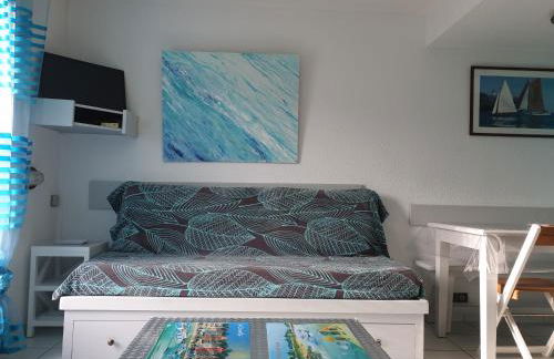 Vue sur mer 300m de la plage - Foto 8