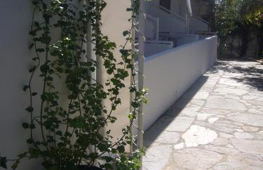 Elpida Andros - Foto 37