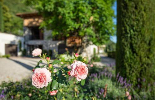 Innerbachlerhof - Laugen - Foto 27