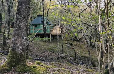 Tree Top Cabin with Private Hot Tub - Foto 18