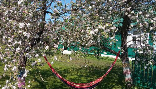 Zielony Domek Plutycze - Foto 3, Garden