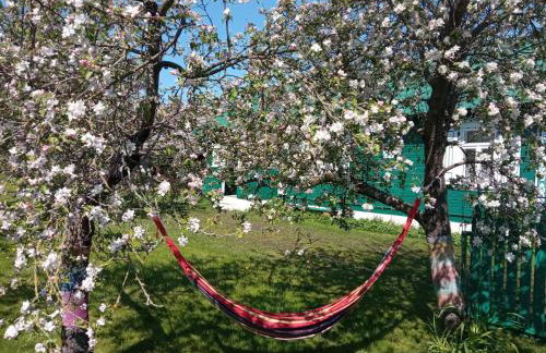 Zielony Domek Plutycze - Foto 3