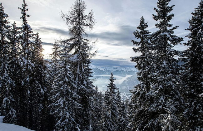 Chalet in Binn Near Forest & Scenic Valley - Foto 35