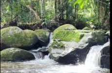 Chalé Encanto do Manacá - Foto 45