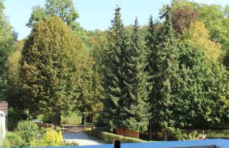 Ferienwohnung Auszeit am Kurpark Bad Berka - auch im Frühling toll! # Balkon # ruhige Lage # gratis Parkplatz & WLAN # Nähe Weimar # Weimarer Land - Photo 20