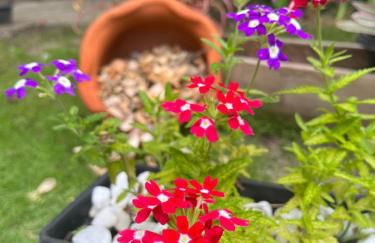 Chales Canto dos Pássaros Boipeba - Foto 56