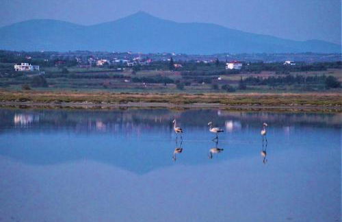 Infinite blue Horizon Elegance Hospitality - Photo 14