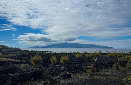 Casa Baleia Laranja Ocean-Front - Photo 32